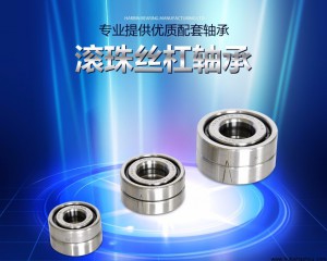 滾(gun)動絲(si)杆軸(zhou)承 7602020TN、P4、DB、DT、DF、三(san)聯、四(si)聯 BSA204