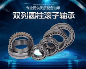 雙列(lie)圓柱(zhu)滾子(zi)軸承(cheng) NNU4964、NNU4964K、W33、P5、P4 舊型(xing)号D4482964、C4482964