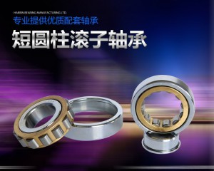 向(xiang)心短(duan)圓柱(zhu)滾子(zi)軸承(cheng)【單列(lie)】N2224M、NU2224M、NJ2224M 舊型(xing)号 2524H、32524H、42524H