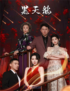 加里离婚记 第一季