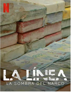 神医娘亲:父王今日错了么